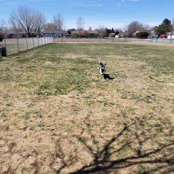Fort Morgan Dog Park (Gateway) photo 2